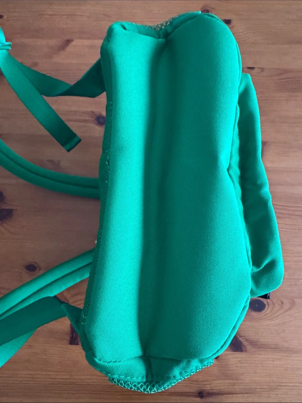 Disney Disneyland Resort Green Icon Mania Small Backpack
